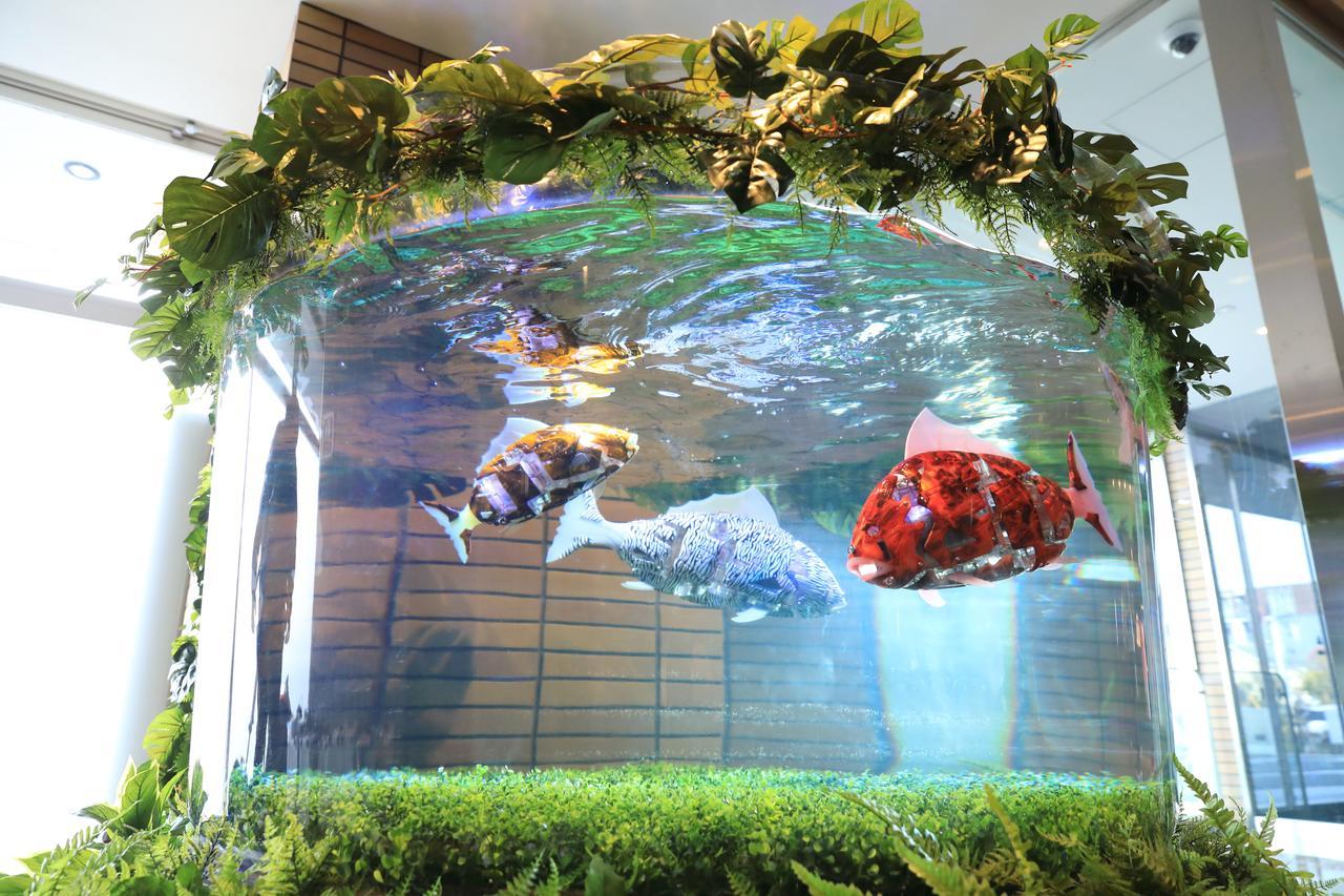 Henn Na Hotel Maihama Tokyo Bay Urayasu Luaran gambar